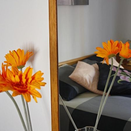 Apartament Sant Joan Sant Joan De Villatorrada 객실 사진